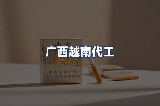 广西越南代工